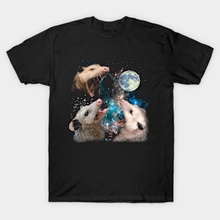 Nightly Nomad Embrace Nocturnal Vibes with Stylish Opossum Tees T-Shirt